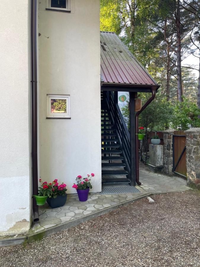 Dziupla Debki Hotel Exterior photo